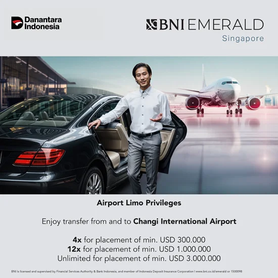 Airport Limo Privileges